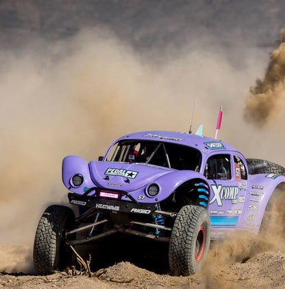 Shreddy - Fern's Colab  Jerky